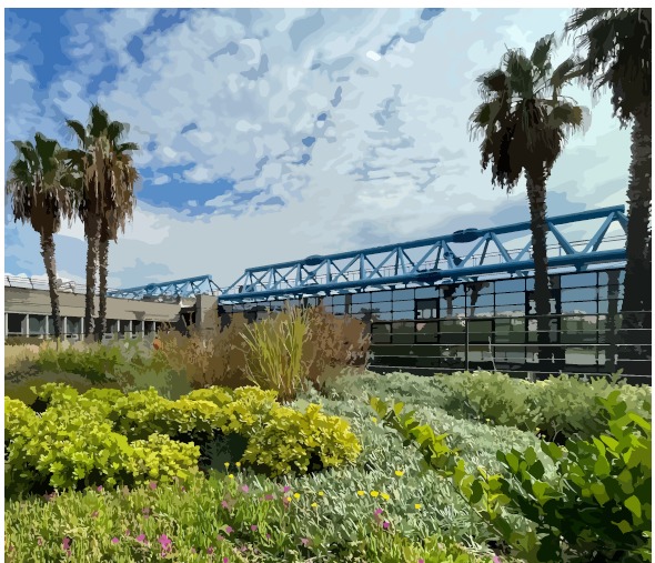 Green roofs in the mediterranean context: from design to management